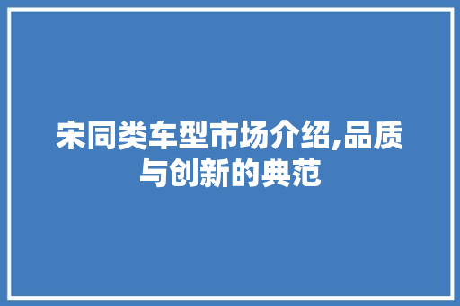 宋同类车型市场介绍,品质与创新的典范