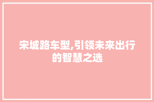 宋城路车型,引领未来出行的智慧之选