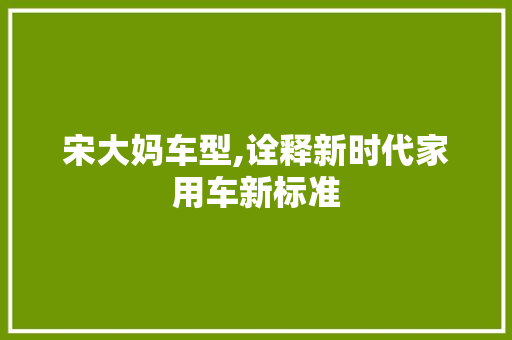 宋大妈车型,诠释新时代家用车新标准