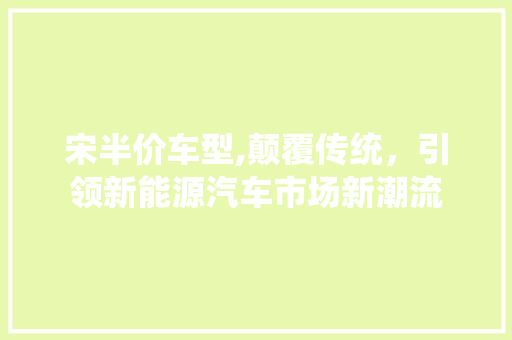 宋半价车型,颠覆传统，引领新能源汽车市场新潮流