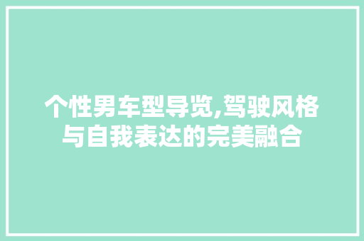 个性男车型导览,驾驶风格与自我表达的完美融合 发动机配件