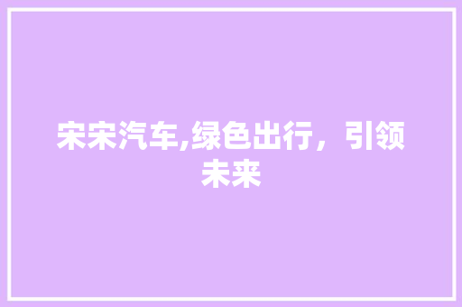 宋宋汽车,绿色出行，引领未来