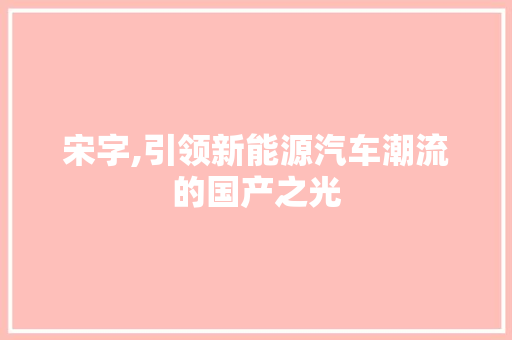 宋字,引领新能源汽车潮流的国产之光
