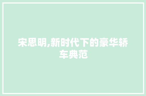 宋思明,新时代下的豪华轿车典范