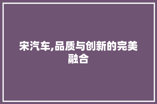 宋汽车,品质与创新的完美融合