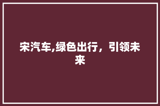 宋汽车,绿色出行，引领未来