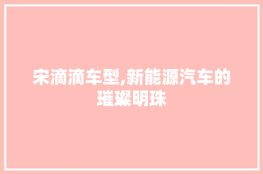 宋滴滴车型,新能源汽车的璀璨明珠