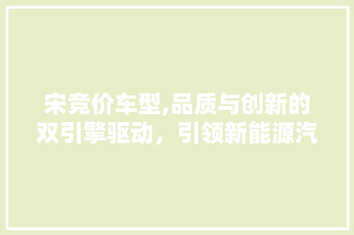 宋竞价车型,品质与创新的双引擎驱动，引领新能源汽车新潮流