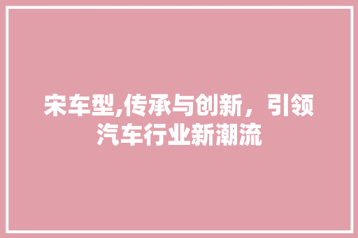 宋车型,传承与创新，引领汽车行业新潮流