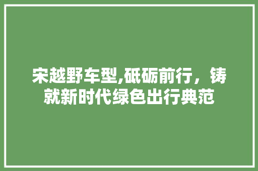 宋越野车型,砥砺前行，铸就新时代绿色出行典范