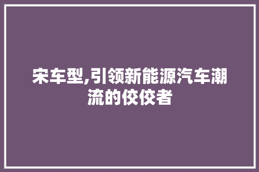 宋车型,引领新能源汽车潮流的佼佼者