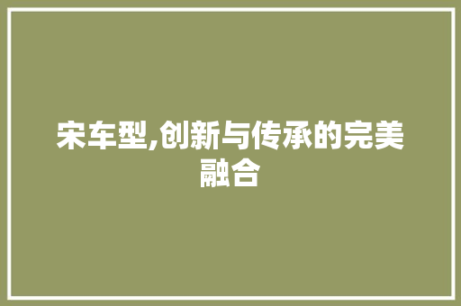 宋车型,创新与传承的完美融合