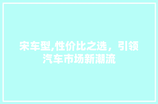 宋车型,性价比之选，引领汽车市场新潮流