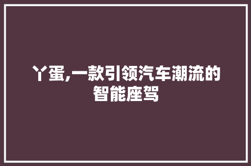 丫蛋,一款引领汽车潮流的智能座驾 变速箱配件