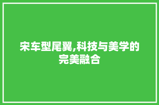 宋车型尾翼,科技与美学的完美融合