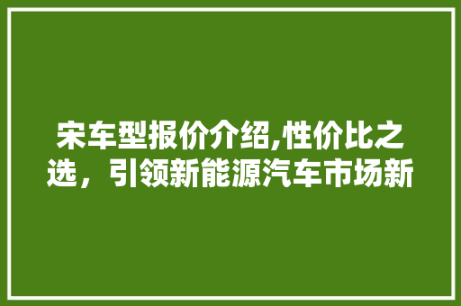 宋车型报价介绍,性价比之选，引领新能源汽车市场新潮流