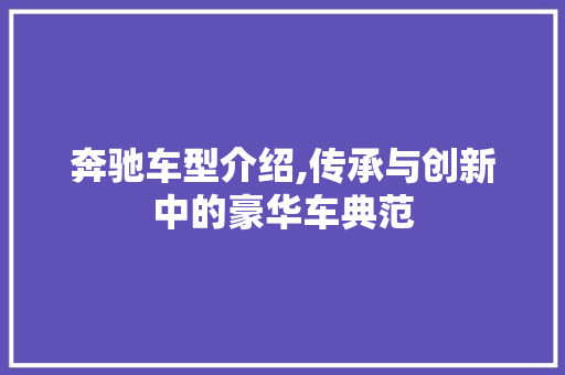 奔驰车型介绍,传承与创新中的豪华车典范