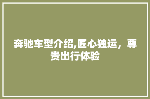 奔驰车型介绍,匠心独运，尊贵出行体验