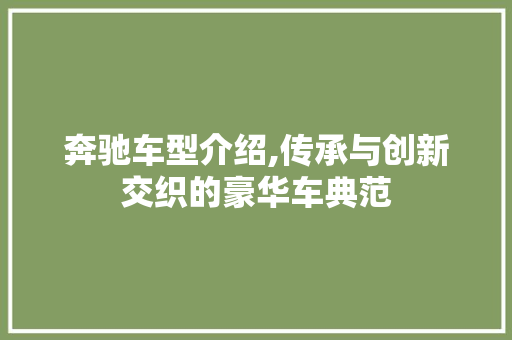 奔驰车型介绍,传承与创新交织的豪华车典范