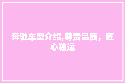 奔驰车型介绍,尊贵品质，匠心独运