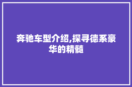 奔驰车型介绍,探寻德系豪华的精髓