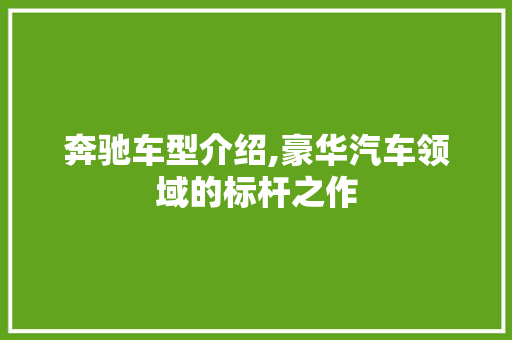 奔驰车型介绍,豪华汽车领域的标杆之作