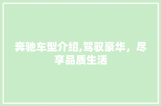 奔驰车型介绍,驾驭豪华，尽享品质生活