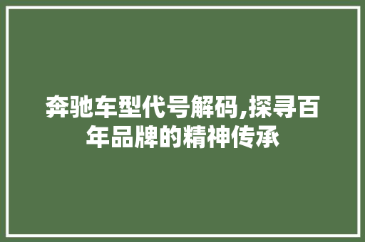 奔驰车型代号解码,探寻百年品牌的精神传承