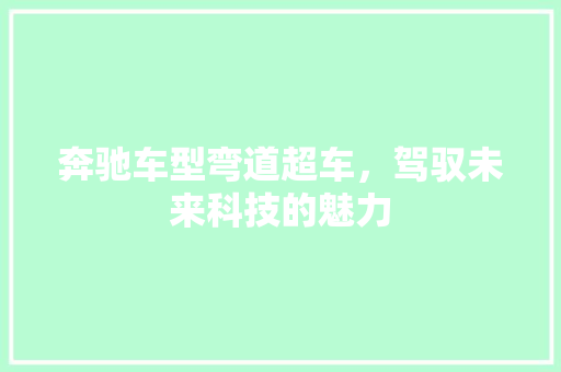 奔驰车型弯道超车，驾驭未来科技的魅力