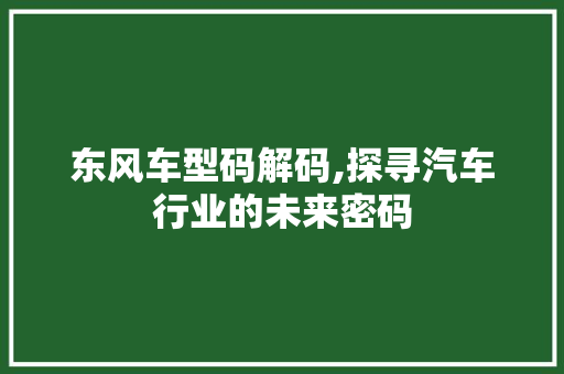 东风车型码解码,探寻汽车行业的未来密码 车身配件