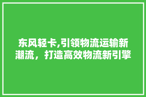东风轻卡,引领物流运输新潮流，打造高效物流新引擎 车灯配件