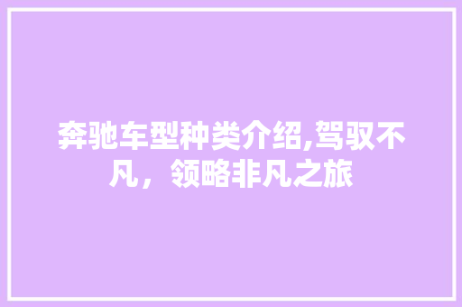 奔驰车型种类介绍,驾驭不凡，领略非凡之旅