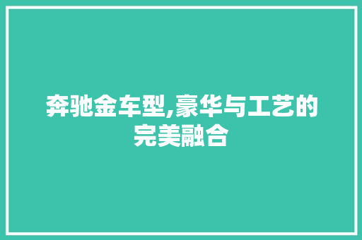 奔驰金车型,豪华与工艺的完美融合