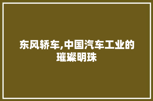 东风轿车,中国汽车工业的璀璨明珠 新款车型