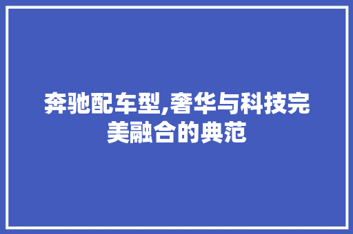 奔驰配车型,奢华与科技完美融合的典范