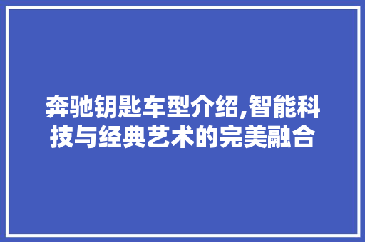 奔驰钥匙车型介绍,智能科技与经典艺术的完美融合