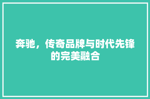 奔驰，传奇品牌与时代先锋的完美融合