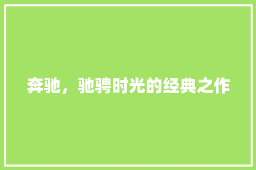 奔驰，驰骋时光的经典之作