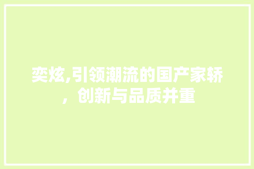 奕炫,引领潮流的国产家轿，创新与品质并重