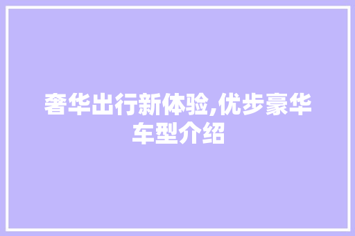 奢华出行新体验,优步豪华车型介绍