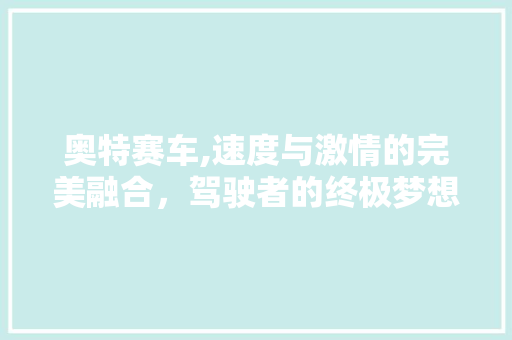 奥特赛车,速度与激情的完美融合，驾驶者的终极梦想