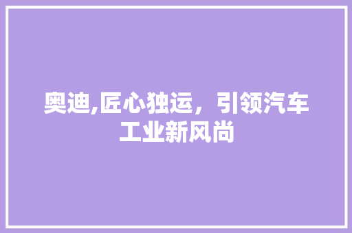 奥迪,匠心独运，引领汽车工业新风尚