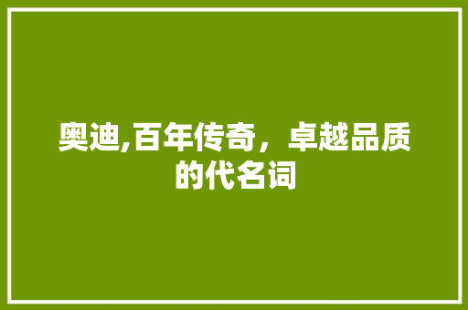奥迪,百年传奇，卓越品质的代名词