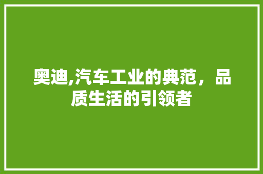 奥迪,汽车工业的典范，品质生活的引领者