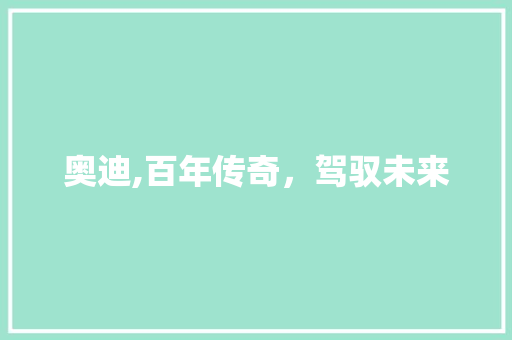 奥迪,百年传奇，驾驭未来