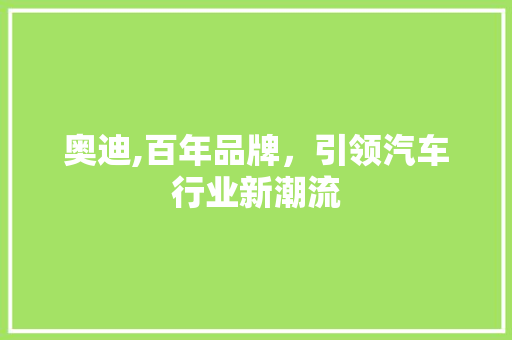 奥迪,百年品牌，引领汽车行业新潮流 新款车型