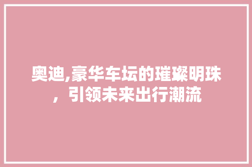 奥迪,豪华车坛的璀璨明珠，引领未来出行潮流