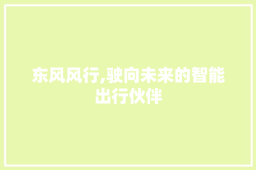 东风风行,驶向未来的智能出行伙伴