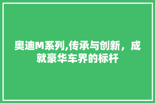 奥迪M系列,传承与创新，成就豪华车界的标杆