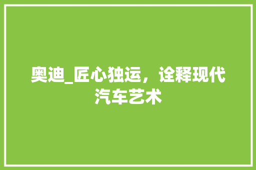 奥迪_匠心独运，诠释现代汽车艺术